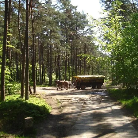 Tatil Evi Holiday Crane's Nest Fuhlendorf (Mecklenburg-Vorpommern)